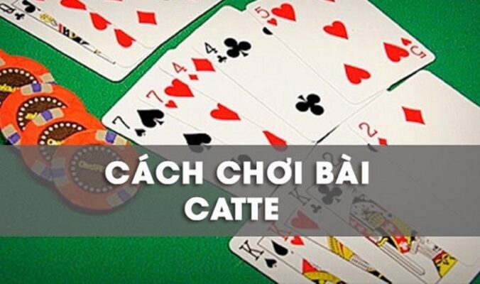 cach-su-dung-catte-789-club-hieu-qua Cách Sử Dụng Catte 789club Hiệu Quả