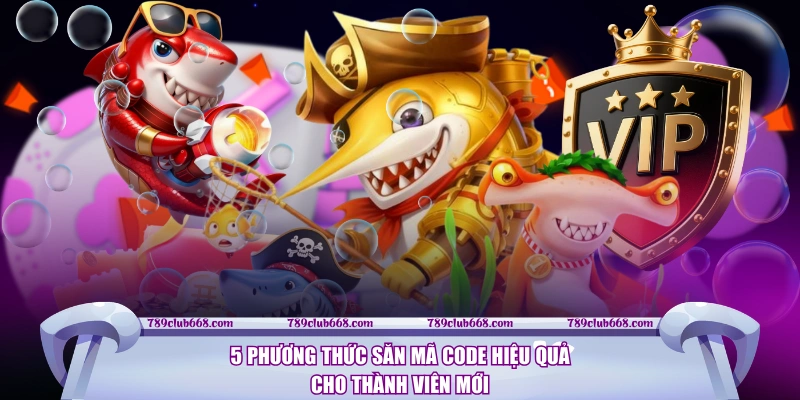 5 phương thức săn mã code hiệu quả cho thành viên mới