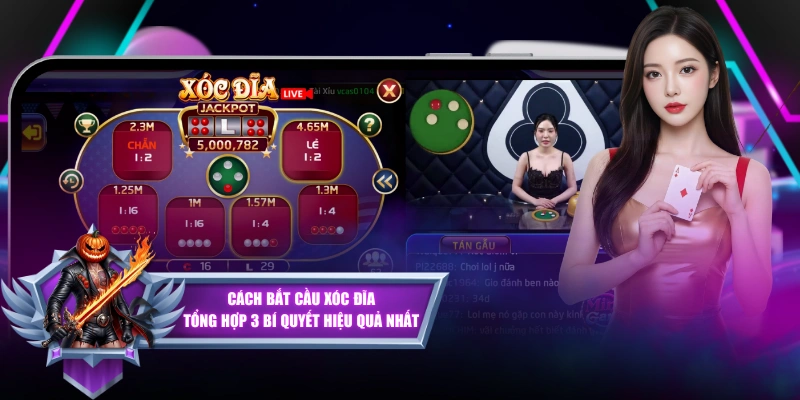 Cách Bắt Cầu Xóc Đĩa - Tổng Hợp 3 Bí Quyết Hiệu Quả Nhất